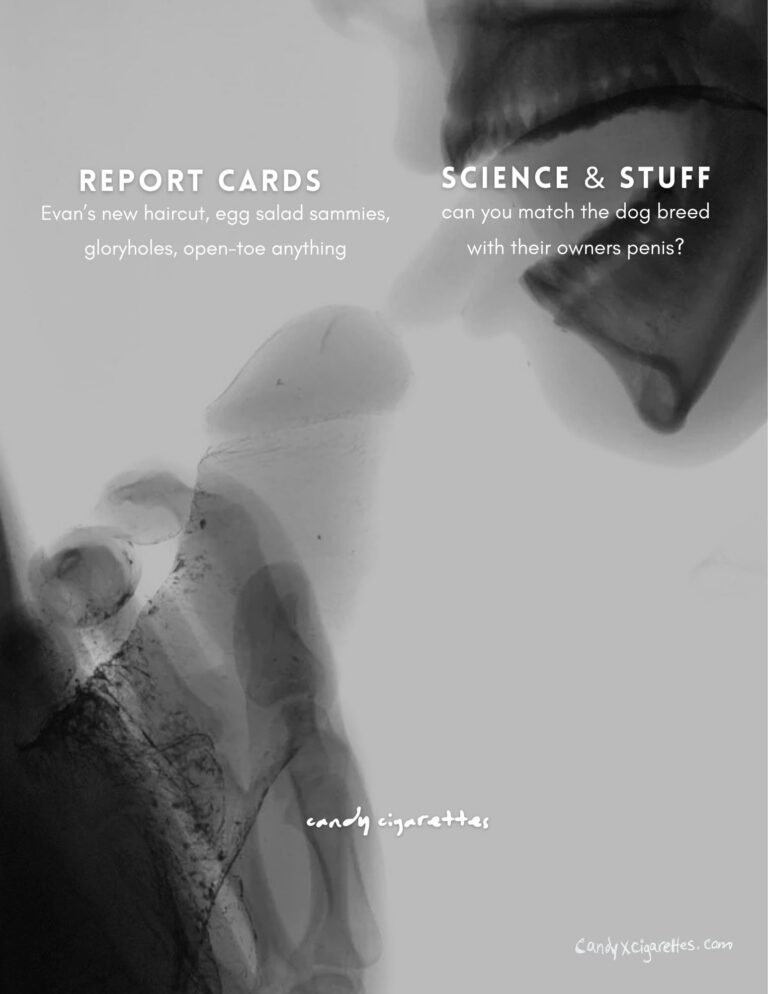volume two: my ghetto report card
